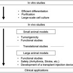 Development of Cardiac Regenerative Medicine Using Human iPS Cell-derived Cardiomyocytes [Published online Keio J Med, 70, 53-59, by J-STAGE]